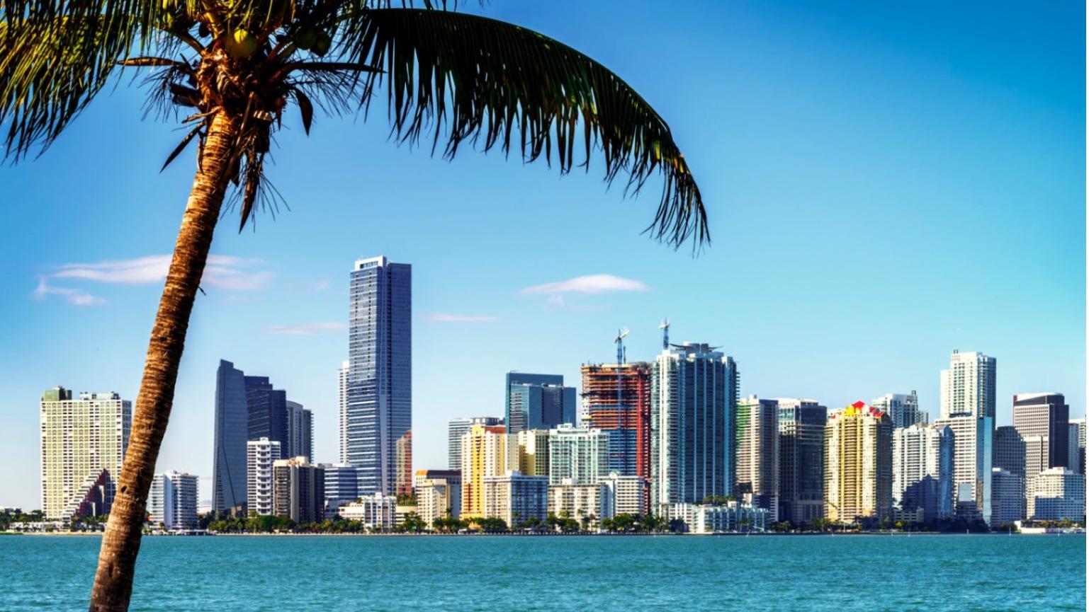 Top 10 3PL Companies in Florida for 2025: Leaders in Logistics